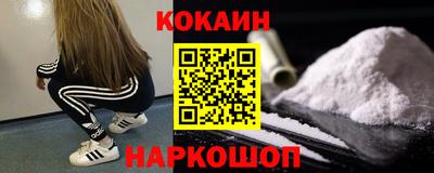 кокс Донской