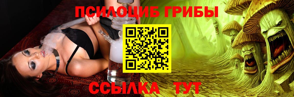 Междуреченск  Галлюциногенные грибы Psilocybine cubensis  Псилоцибиновые грибы Cubensis  Вход с VPN 