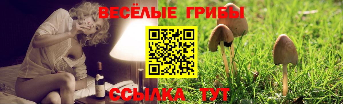 Псилоцибиновые грибы Magic Shrooms Междуреченск